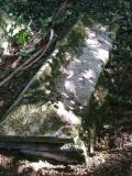 image of grave number 260424